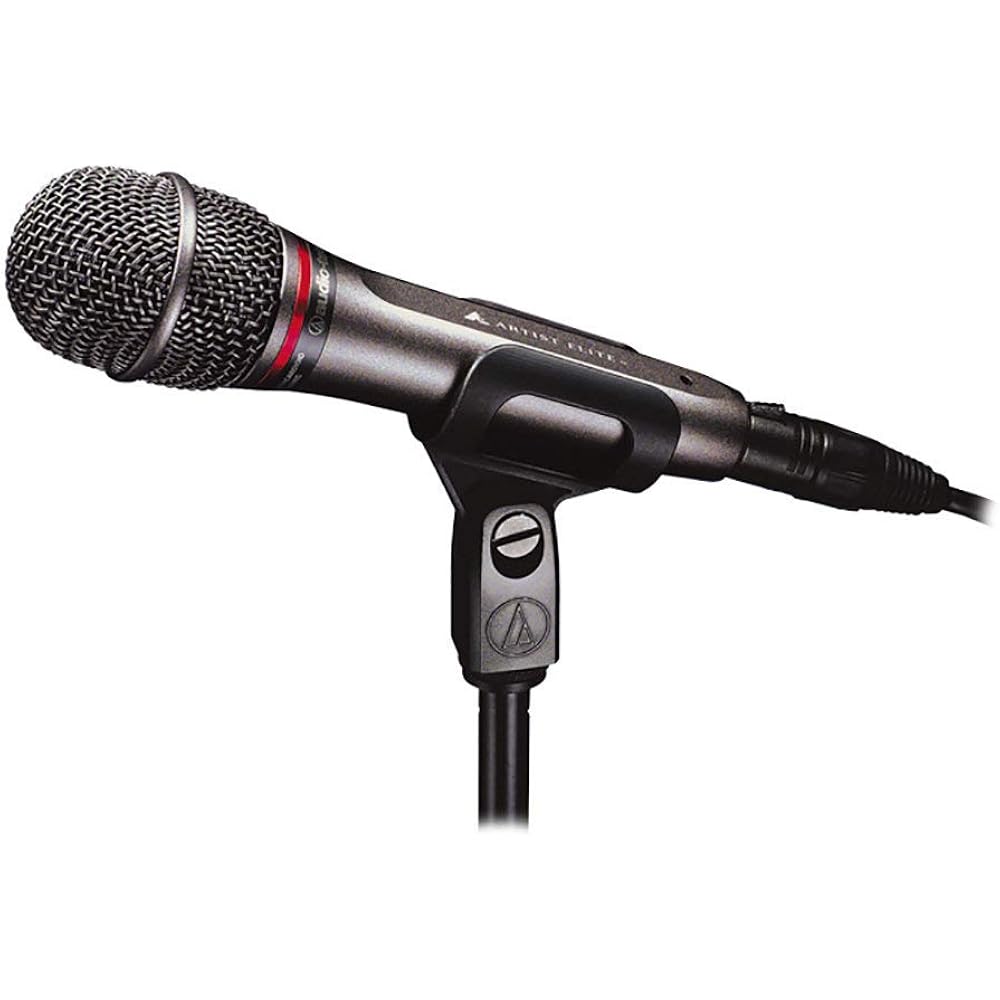 Audio-Technica AE6100 Dynamic Microphone XLR Ultra Unidirectional Microphone Vocal Live DTM Micro...
