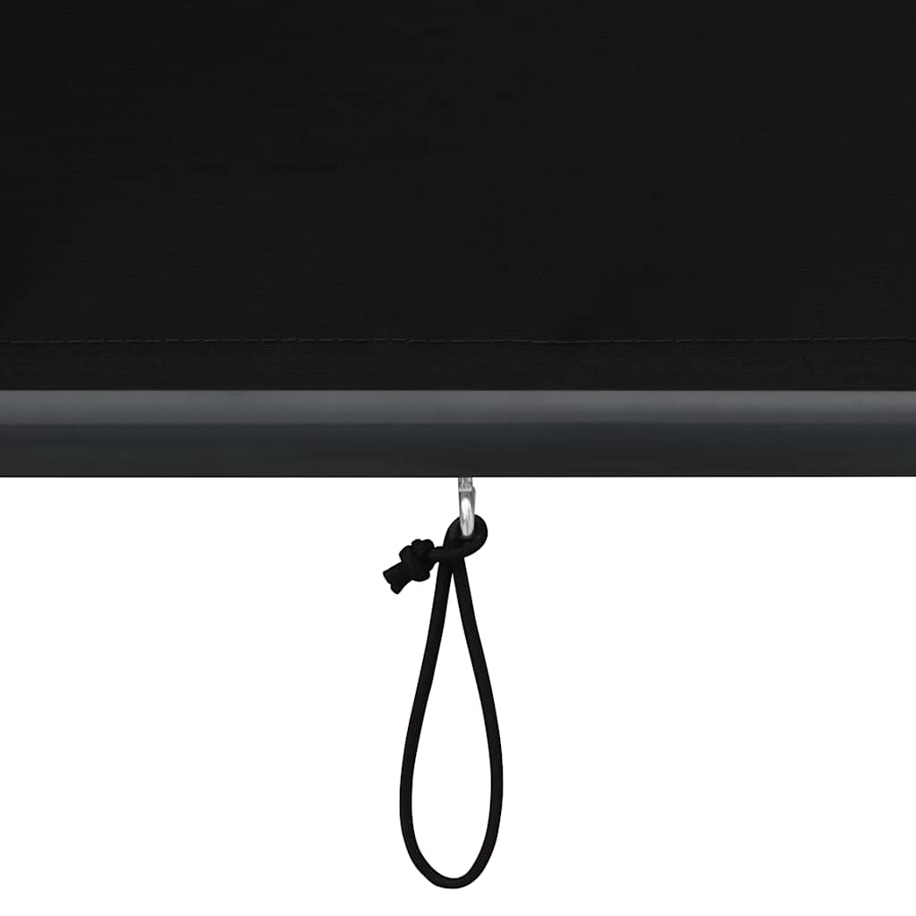 Vidaxl External Roller Blind, 100X250 Cm, Anthracite
