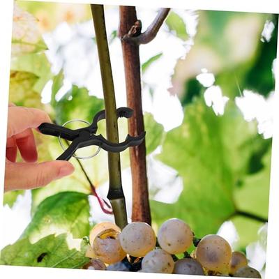 10pcs Plant Trellis Clips Vine Clip Tomato Clips Plant Gripper Clip Supplies for Gardening Clamp for Vine Clamp for Tomato Vines Garden Supplies Black