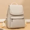 Fashion Simple Backpack Large Capacity Student Leisure School Bag Pure Color Leisure Handbag Carrying Bag