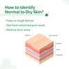 Derma Şirketi. %5 Niasinamid-Seramid Günlük Nemlendirici 100 g | Normalden Kuru Ciltler İçin 24 Saat Cilt Nemlendirmesi