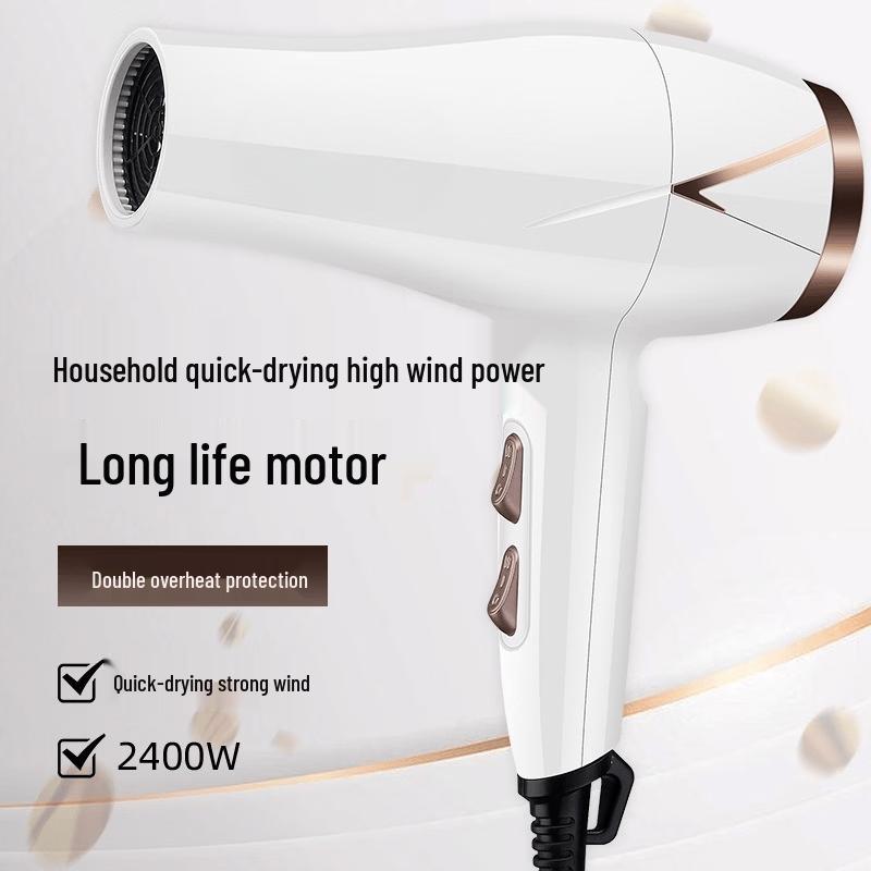 LISM Negative Ion Hair Dryer