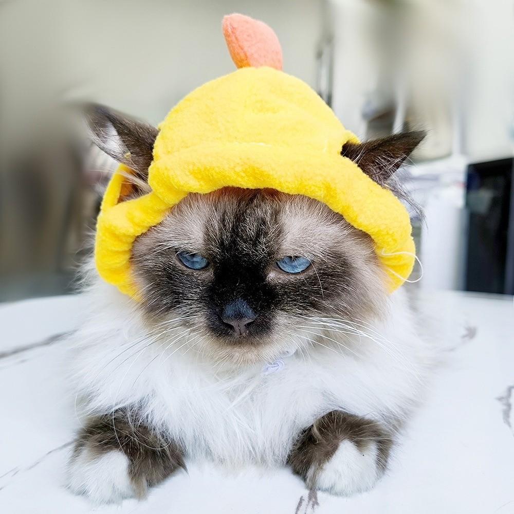 Dog Cat Headgear Cute Pet Hat Soft Ear Hole Pet Headgear Portable Decorative Cat Hat Daily Wear