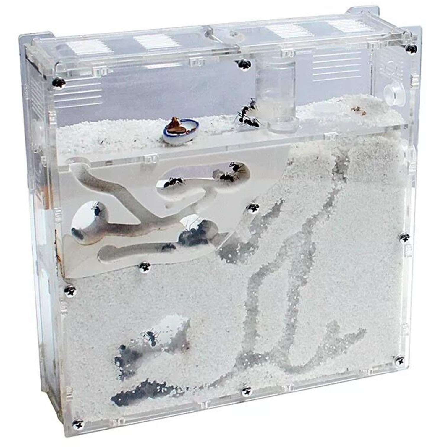 

EXDUCT Ant Keeping Kit - Science Project Case, Aquarium, Sand, Observation Nest Kit, Queen Ant