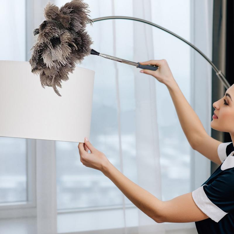 Electrostatic Feather Duster with Long Handle for Window Baseboard Vent Furniture Appliance Blind Cobweb Removal Fan Dusting
