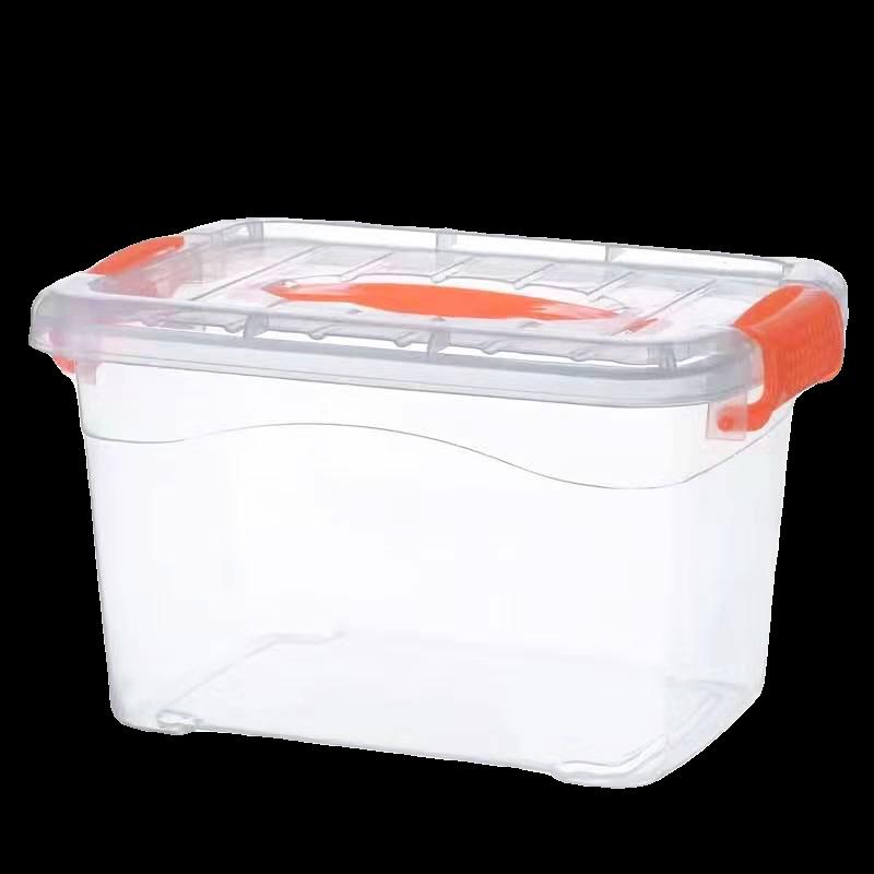 Large Transparent Handheld Food-Grade Storage Box