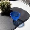 Japanese Colorful Glass Sake & Drinkware Set