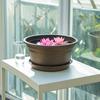 Fioriera Retro Loto Diametro Grande Fioriera Bassa Fioriera Idroponica in Plastica per la Coltivazione di Semi di Loto Piante Acquatiche Uso Giardino Balcone