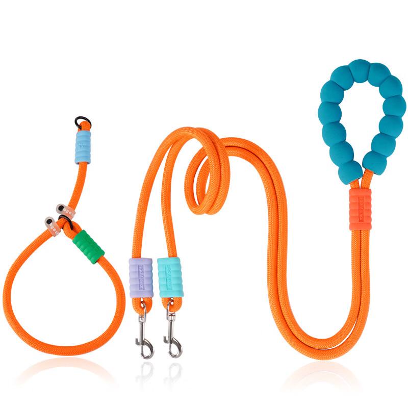 Pet Dog Leash 2-Pack