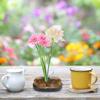 Unique Sun and Moon Shape Flower Kenzan Flower Arrangement Needle Pin Fixed Arranging ToolM