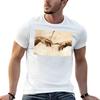 Schöpfung Adams T-Shirt T-Shirt Für Unisex T-Shirt Unisex 100% Baumwolle Luxusmarken T-Shirts Für Unisex Baumwoll-T-Shirt