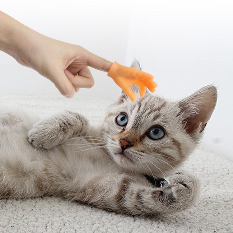 Put On The Plastic Gloves for Playing with And Petting Cats and Massage The Left and Right Little Hands