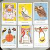 Skurriles Vogel-Tarot Deck 80 handgezeichnete Papageien-Tarotkarten Einzigartiges Geschenk für Vogelliebhaber 350 g/m² Doppelgeprägter Karton 10x6,5cm