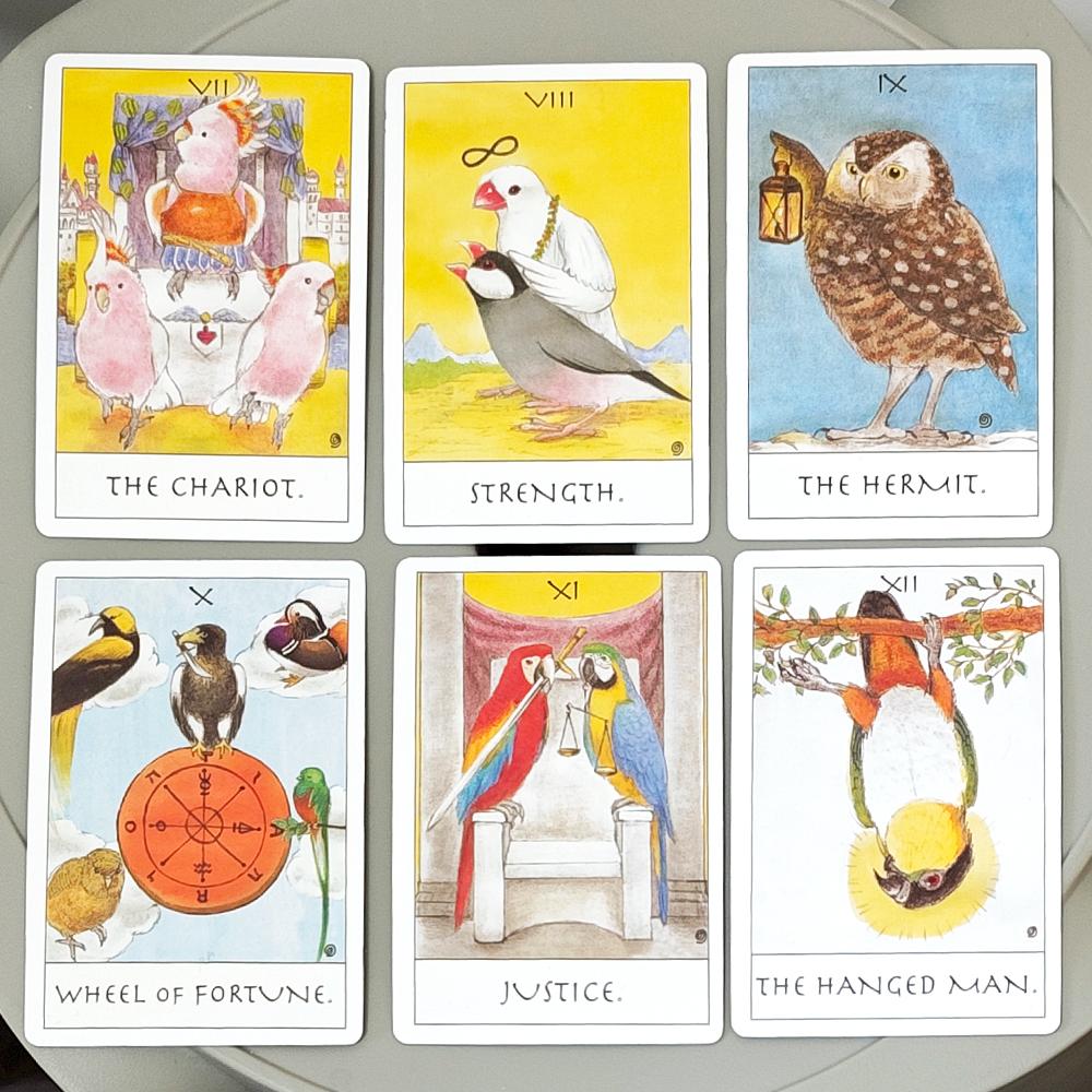 Skurriles Vogel-Tarot Deck 80 handgezeichnete Papageien-Tarotkarten Einzigartiges Geschenk für Vogelliebhaber 350 g/m² Doppelgeprägter Karton 10x6,5cm