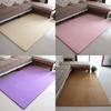 Super Absorbent Coral Velvet Bathroom Mat Offering Safety And Style For Home