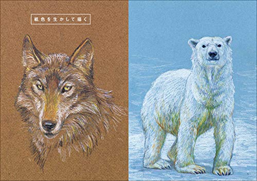 Animal drawing techniques: A thorough explanation