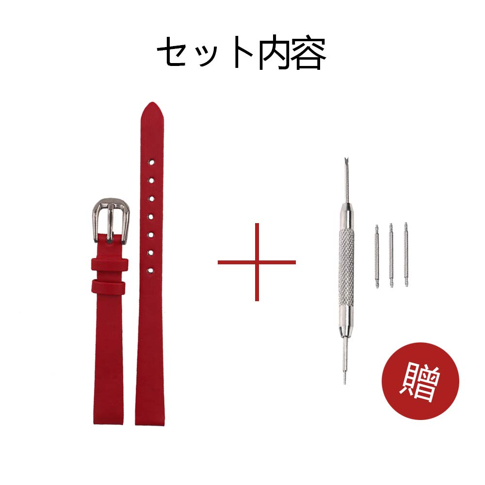 Polly Store Watch Strap Band 6mm 8mm 10mm Genuine Leather Replacement Strap 3 Spring Bars Spring Bar Removal Tool Dedicated Women's [Includes + + Box]