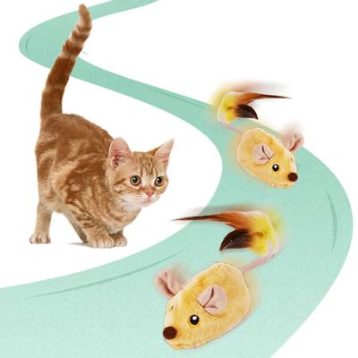 חתולים – צעצועים לחתולים