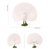 Realistic Plastic Farm Life Peacock Toy Figure  Authentic Hand Painted Bird Model Figurine Fun Collectible Educational Play Toys