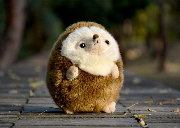 H17Cm Cute Realistic Hedgehog Plush Toy Chubby Hedgehog Plushie Stress Relief Toy Kids Girl Birthday Gift