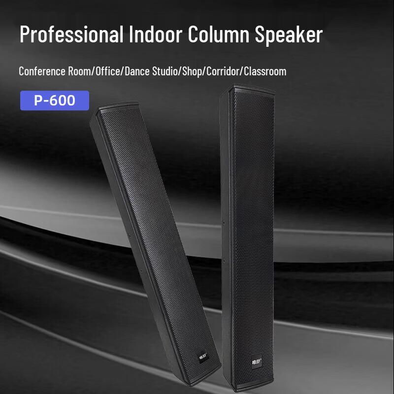 Weishu P-400 Professional Conference Audio System (CN Version)