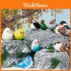 Wooden Craft Bird Decor With Handcrafted Design For Gift Giving And Home Decoration