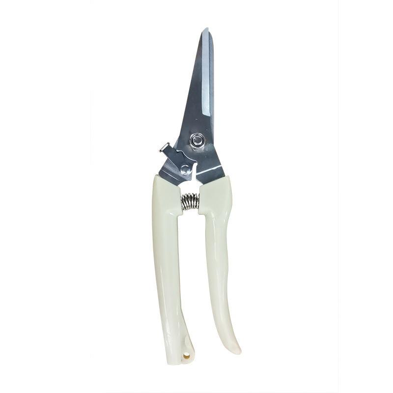Stainless Steel Pruning Shears for Garden, Fruit, Flower, and Wood