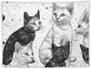 Wall Hanging Black And White Kitten Tapestry for Bedroom Vintage Tapestries Porch Hanging Background Wall Poster for Living Room