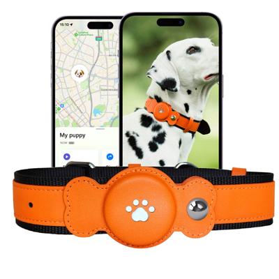 Wasserdichtes Hunde-GPS-Tracker-Halsband für iOS, leicht, lange Akkulaufzeit, Echtzeit-Anti-Verlust-Haustierortung, passend für kleine, mittelgroße und große Hunde