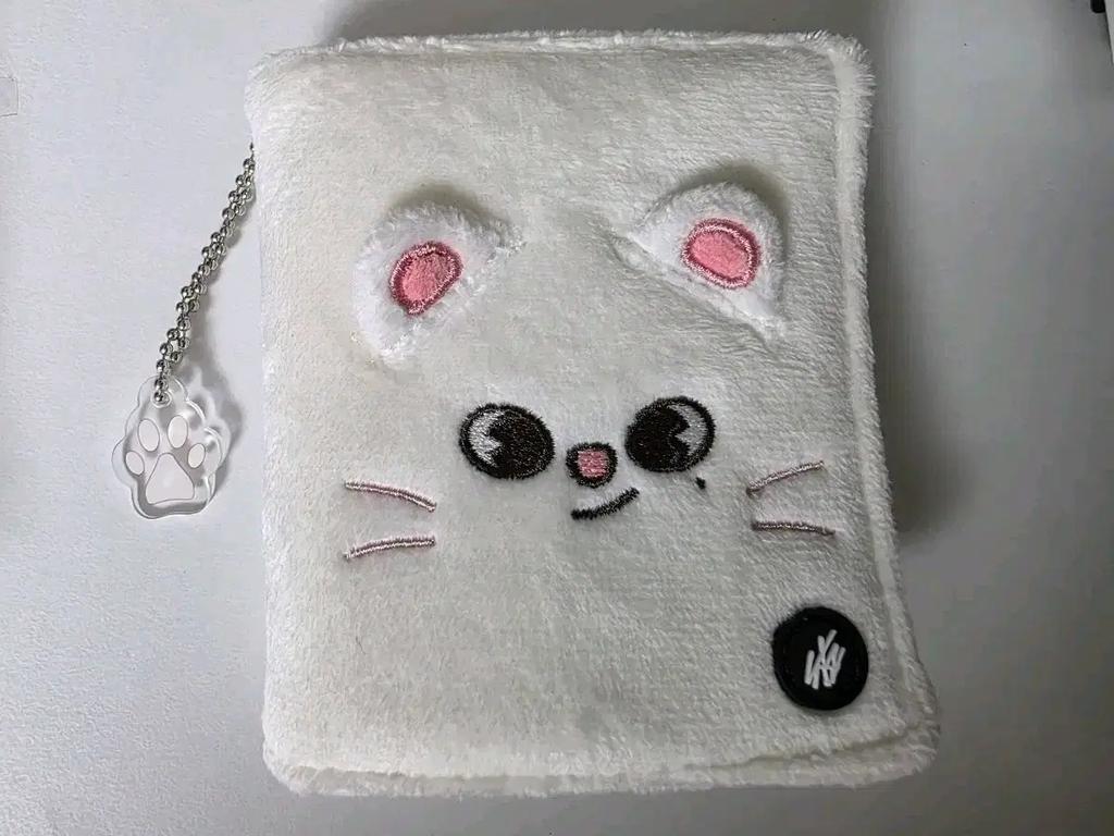 Hyunjinski Jujinilet Poca Case Japan MD Used