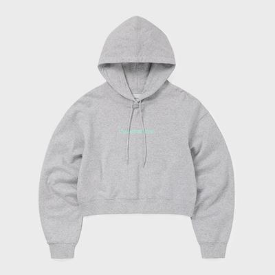 ThIs Is Never ThaT T Logo W Hoodie heaTher Grey