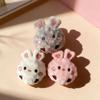 Bunny Shape Dog Chew Toy Colorful Puppy Squeaky Toy Cute Pet Bouncy Ball  Fetch Game