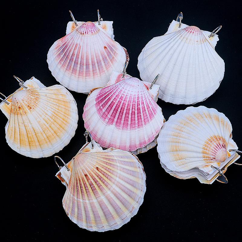 Natural shell books, handmade DIY notebooks, Instagram style, sticky notes, travel souvenirs, gift giving