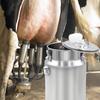 Large Capacity 10L Milking Equipment Bucket For Livestock Rustproof Stainless Steel Construction