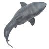 PNSO Prehistoric Animal Model: Megalodon Patton (Big White Shark) 6.2-inch Ancient Sea Monster Toy