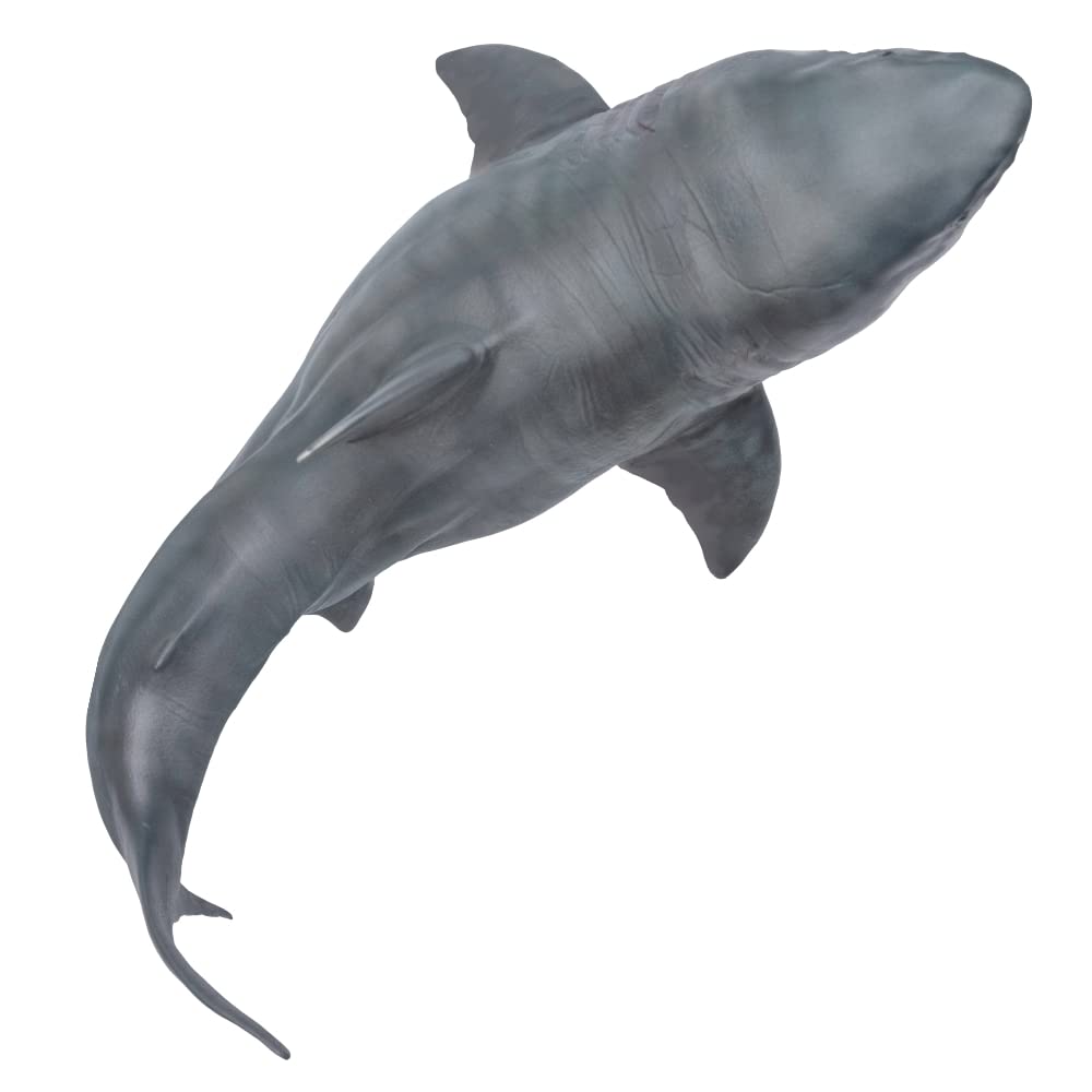 PNSO Prehistoric Animal Model: Megalodon Patton (Big White Shark) 6.2-inch Ancient Sea Monster Toy