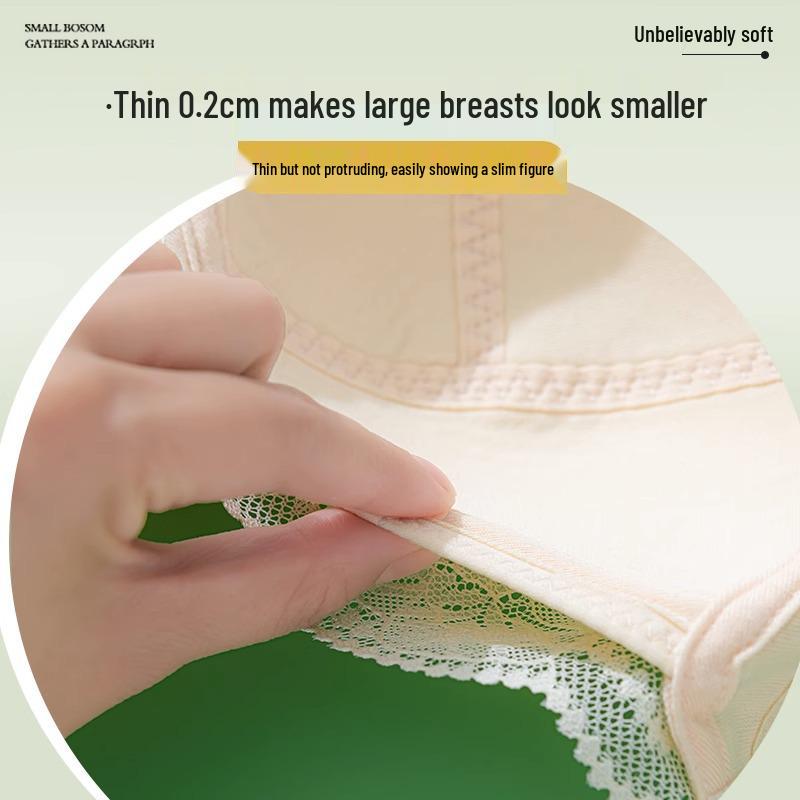 Plus Size Adjustable Push-Up Bra for Large Busts: Side Support, Posture Correcting, Anti-Sagging, Minimizing Design.