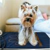 Waterproof Pet Heating Pad Electric Blanket Dog Cat Winter Warmer Pad 45×60cm Adjustable Temperature Dog Mattress US/UK/EU
