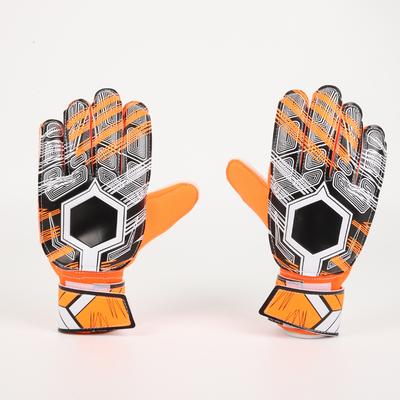Fotbal