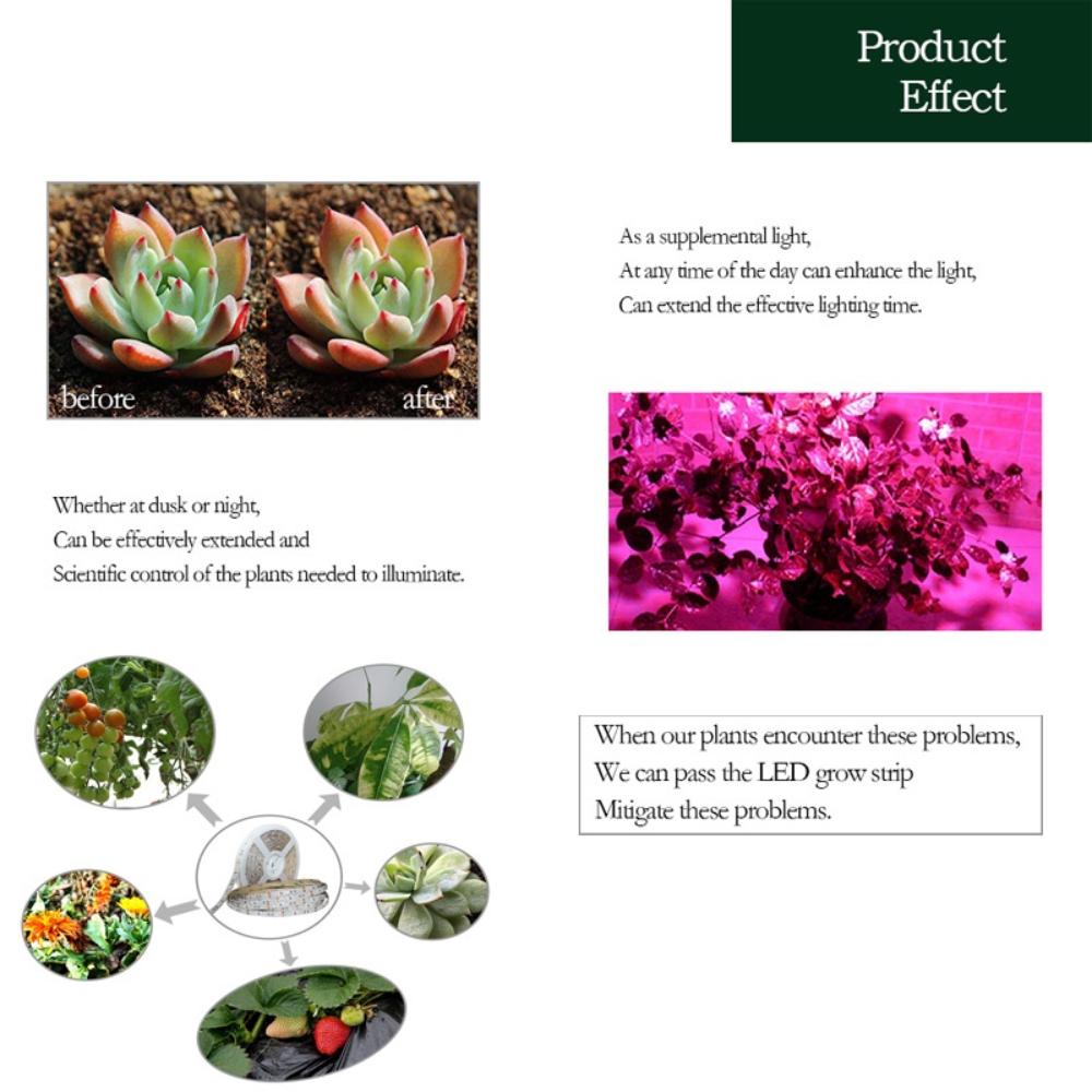 LED Waterproof Grow Light Full Spectrum 5V USB 5m Grow Light Strip 2835 LED Phyto Lamps For Plants Greenhouse Hydroponic Growing