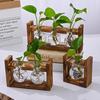 Plants Propagation Station with Wooden Stand Indoor Plant Terrarium Hydroponic Flower Holder Container Decoration Table Centerpiece