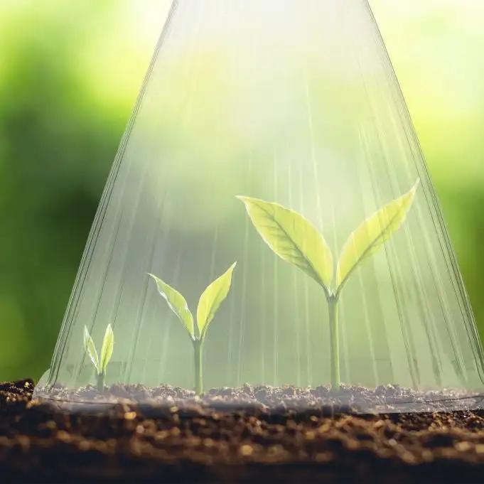 30 uds. Caja de Crecimiento Carpa de Plantación Cuadrada Reutilizable Cubierta de Reloj de Planta Para Proteger las Plantas de Pájaros, Heladas y Caracoles