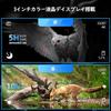 Digital Binoculars Recording Night Night Vision Night Night Vision Infrared Video for Live Bicycle Horse Boat Sports Japanese Instruction Manual
