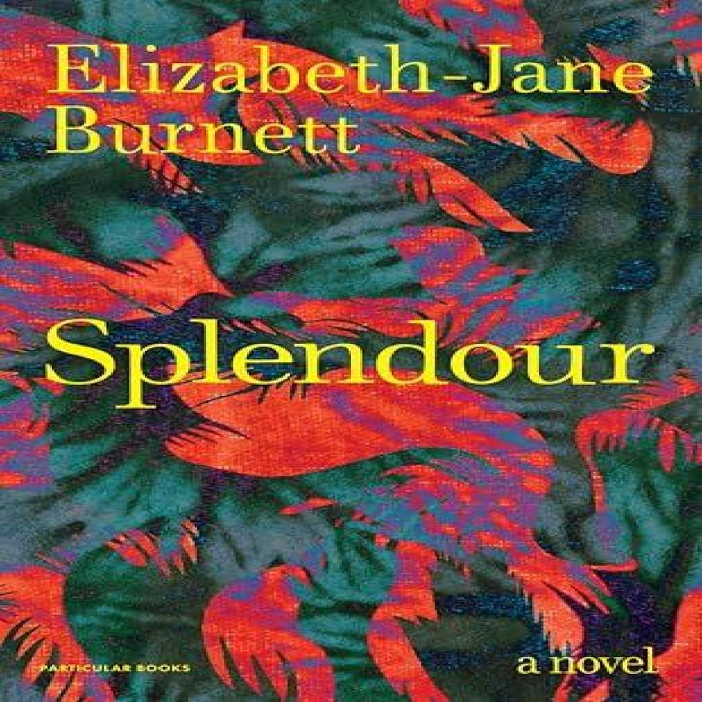 Splendour by ElizabethJane Burnett Hardback Book 9780241702000