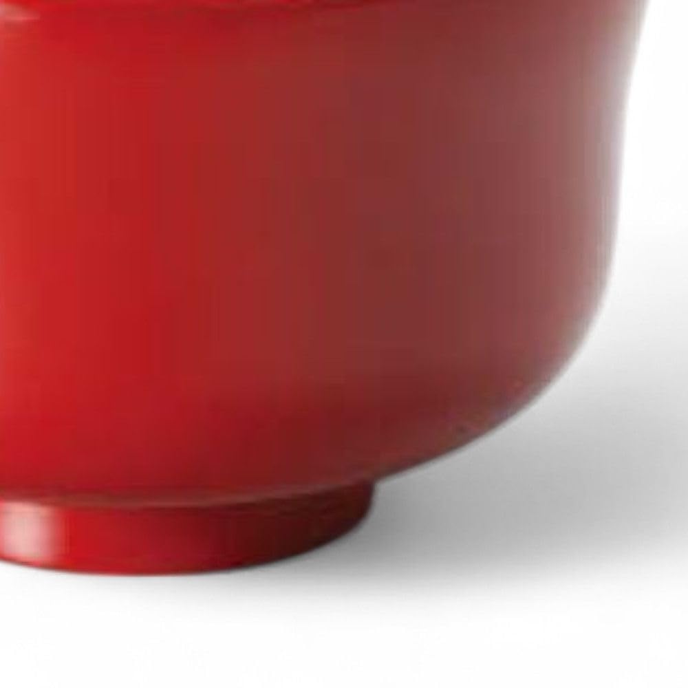 Lacquerware Dishwasher Made in Japan J-kitchens Bowl, Hand-Painted, Safe, PID-528251,