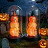 Yousheng Halloween Decoration, Lighted Skeleton in Clear Dome Cloche with Warm Glow, Battery Operated Skull Lamp with Witch Hat for Tabletop Mantel