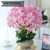 Artificial Phalaenopsis Floral Arrangement for Living Room Display - Potted Decoration for TV Cabinet