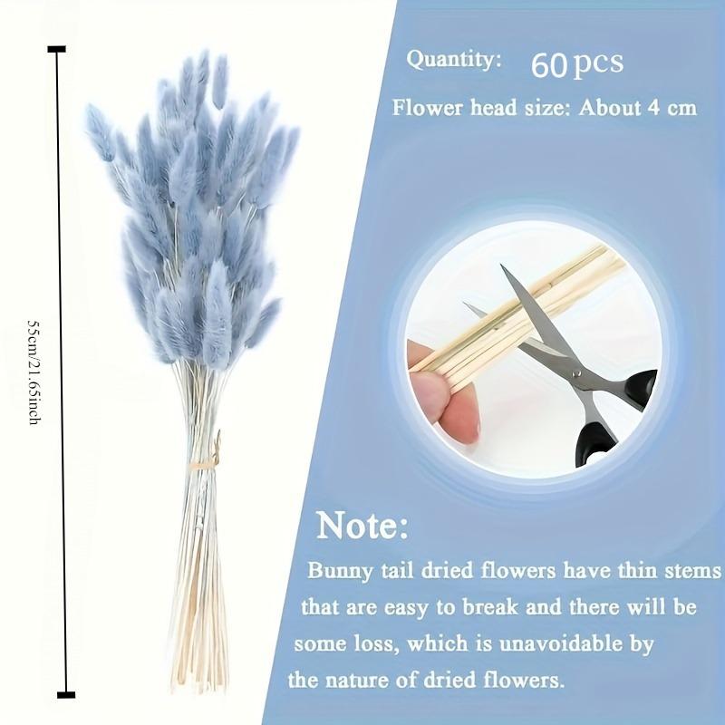 60/120 Pièces Rotin Bleu Gris Queue de Lapin Moelleuse Fleurs Séchées Maison Mariage Décor Table Rustique Ferme Fête Vacances Saisonnières.
