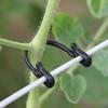 50 Stück Pflanzenranken-Befestigungsclip Gartenpflanzen Fixierclip Schnallen Tomaten Gemüse Traubenstütze Rankenclip Fixer Pflanzenclip