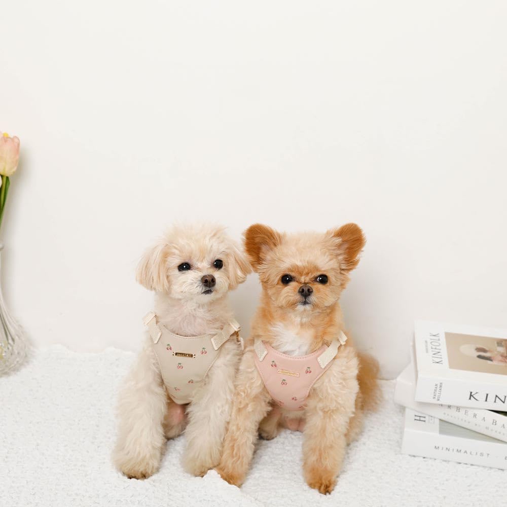 Besticktes Geschirr und Leine Hundegeschirr für kleine Hunde Verstellbar Einfach an- und auszuziehen mit einem für Spaziergänge und Ausflüge monchéri [Kirsch-Set]